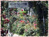 Iwagahira Park (Montebello Rose Garden)