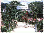 Iwagahira Park (Montebello Rose Garden)