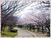 Ashiya Central Park (Ashiya Chuo Koen)