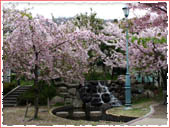 Okamoto Minami Park