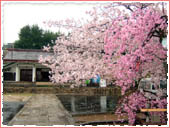 Gokoku Shrine