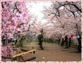 Gokoku Shrine