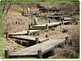 Rokko Alpine Botanical Garden