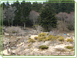 Rokko Alpine Botanical Garden