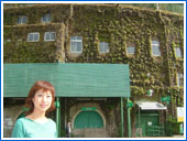 Hanshin Koshien Stadium