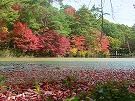 神戸森林植物園