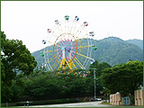 Animal Ferris Wheel