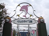 Dolphin Live Pavilion (Show Pool)