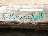 n̐ԉ
