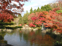 Koko-en Garden