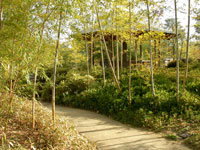 Koko-en Garden