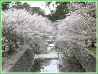 Shukugawa Park