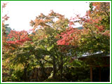 Jurinji Temple