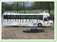 Safari Bus