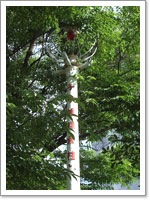 日本子午線標示柱（トンボの標識）