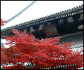 有馬温泉と神戸の紅葉スポット