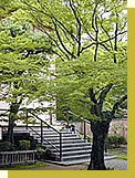 神戸の美術館 香雪美術館