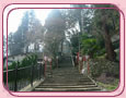 有馬温泉 湯泉神社の桜