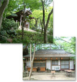 瑞宝寺公園の紹介
