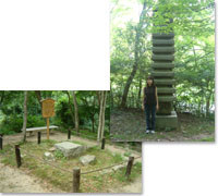 瑞宝寺公園の紹介
