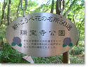 瑞宝寺公園の紹介