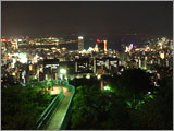 Night View of Venus Bridge